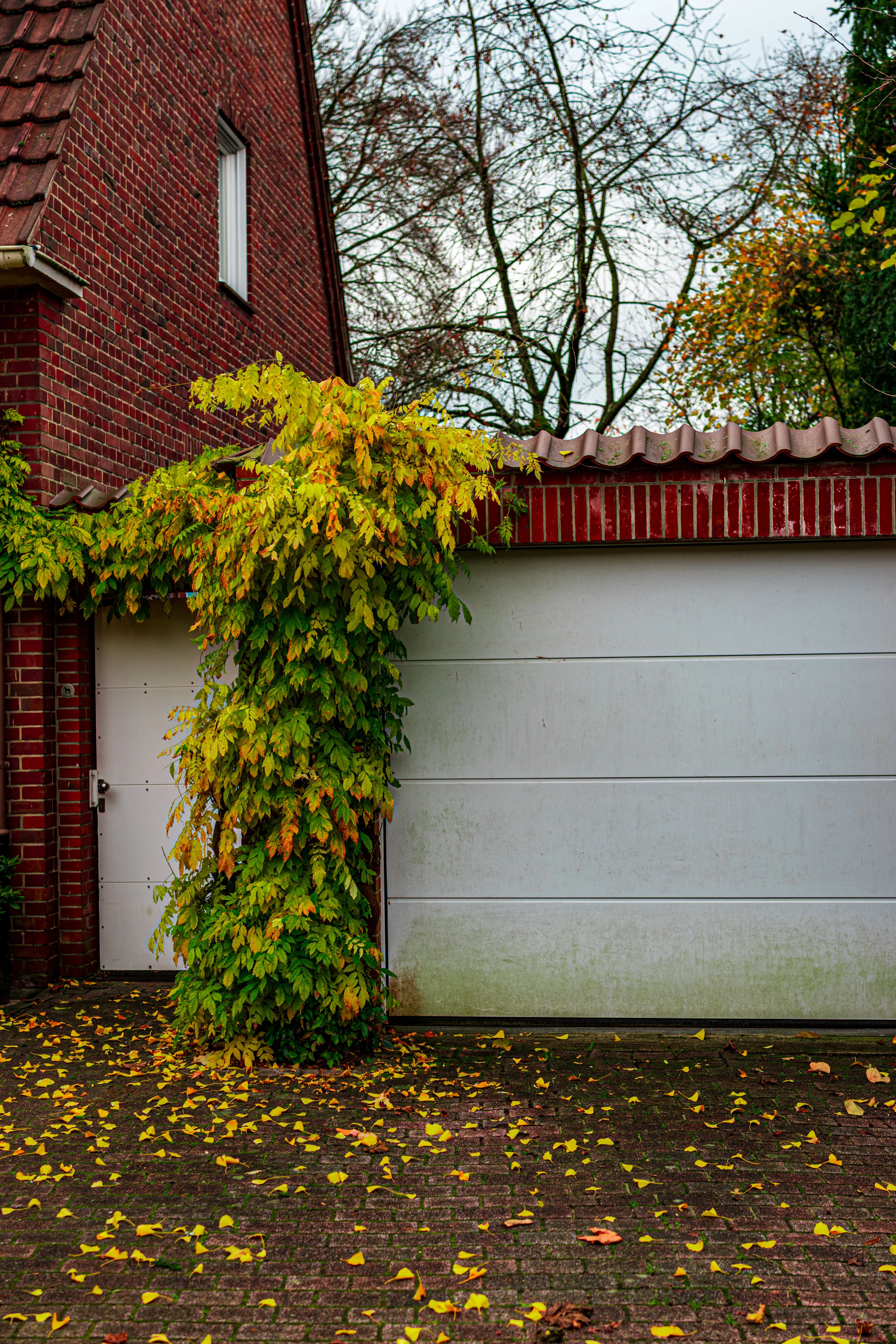 Residential garage door in Beaumont